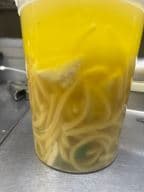 Best Chicken Noodle Soup in Springfield, TN